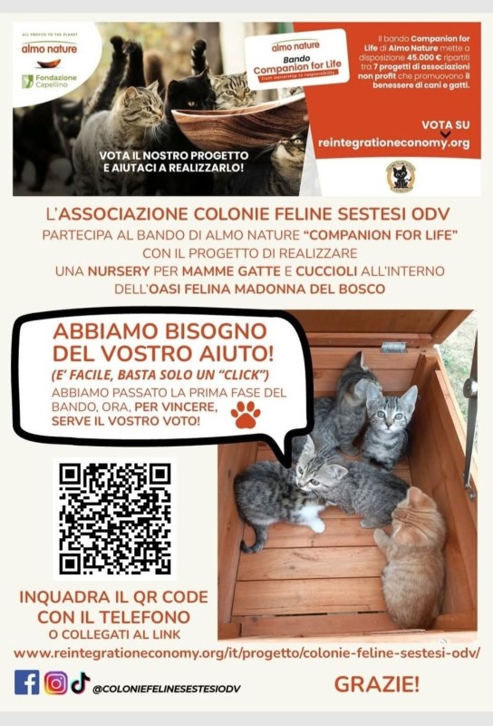 Associazione Colonie feline Sestesi ODV