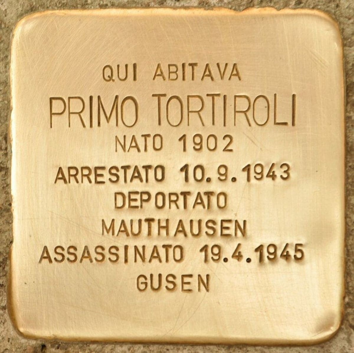 7982 - Tortiroli Primo