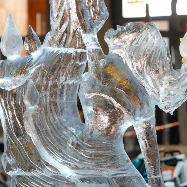 Dsc02055 1200x900