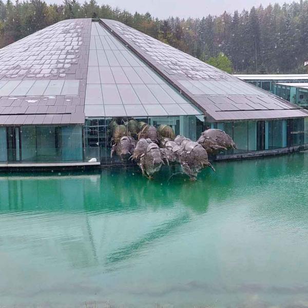 Salisburgo E Laghi 22 25 Aprile 2024 Pagina 168
