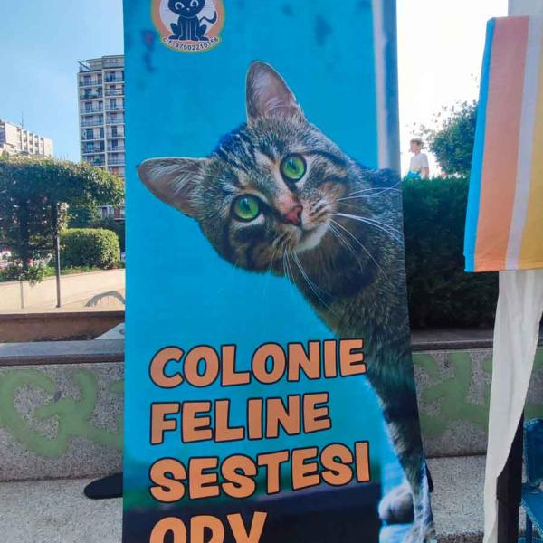 Festa Sport Volontariato E Salute Sabato 21 Settembre 2024 119 Scaled
