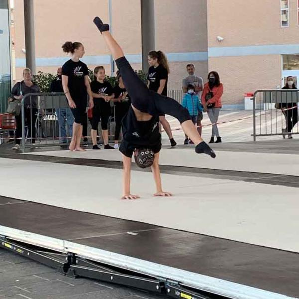 Img 1395