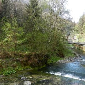 Algua_torrente_Serina_01_original